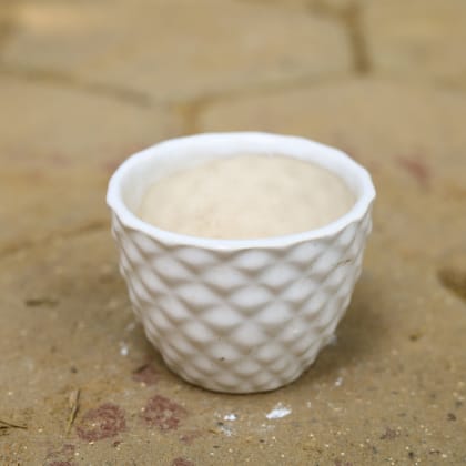 Buy 3 Inch Classy White Diamond Designer Ceramic Pot Online | Urvann.com