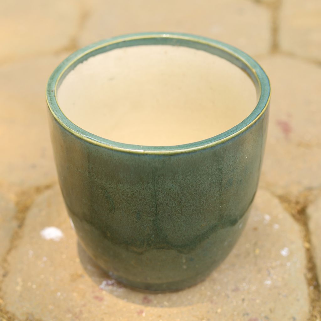 6 Inch Sea Green Cup Shape Ceramic Pot,Pots:Ceramic Planters:Royal Ceramic Pots