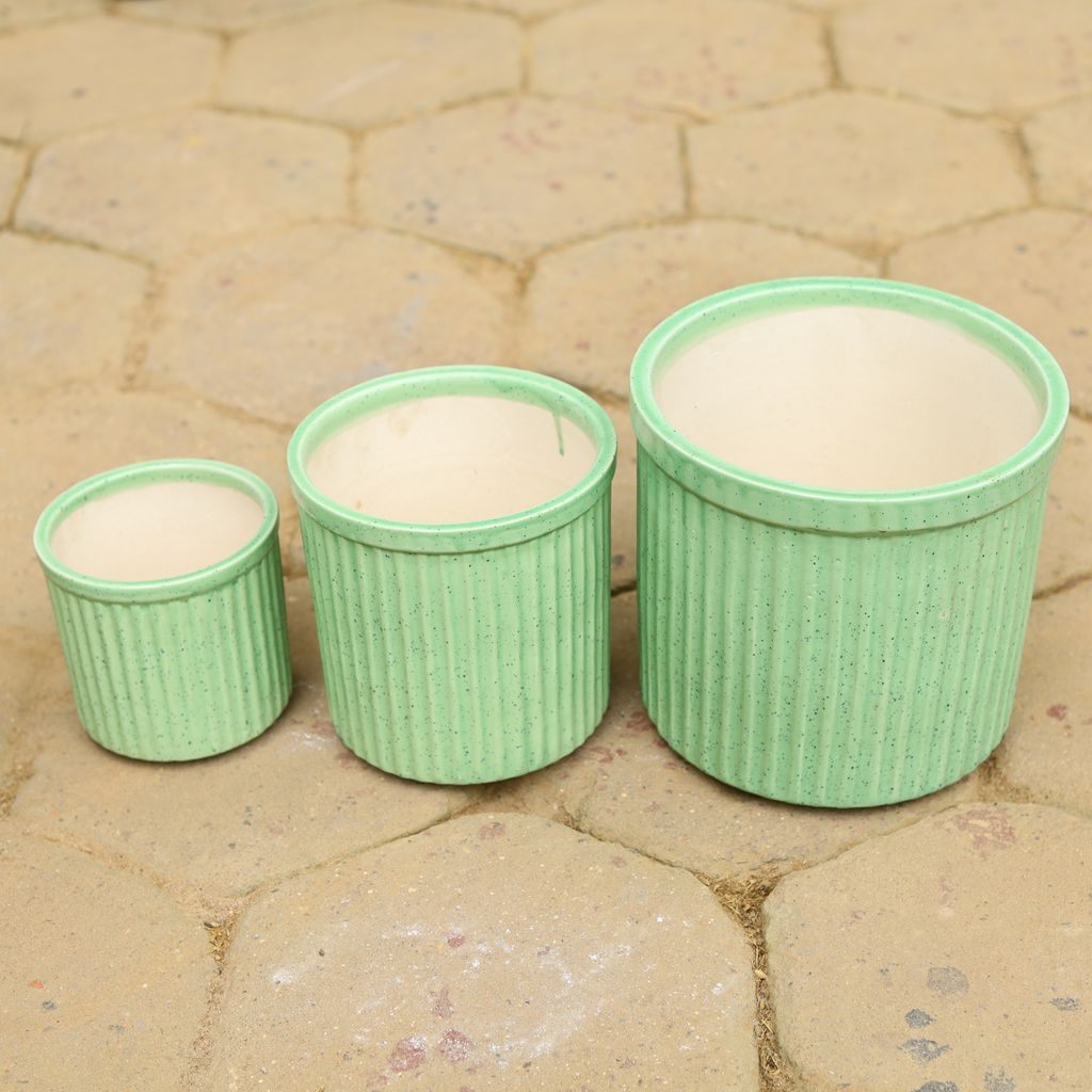 Set of 3 - (5,6 & 8 Inch) Green Designer Cylindrical Ceramic Pot,Pots:Ceramic Planters:Royal Ceramic Pots