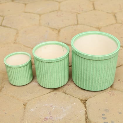 Buy Set of 3 - (5,6 & 8 Inch) Green Designer Cylindrical Ceramic Pot Online | Urvann.com