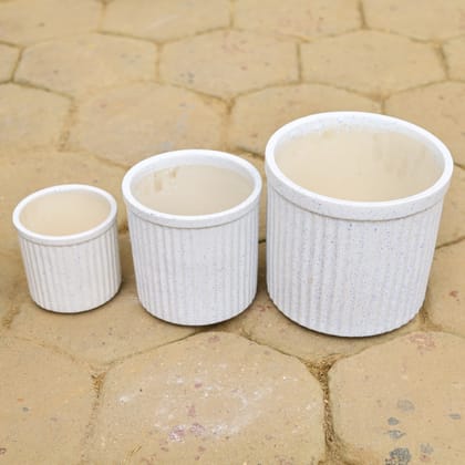 Buy Set of 3 - (5,6 & 8 Inch) White Designer Cylindrical Ceramic Pot Online | Urvann.com