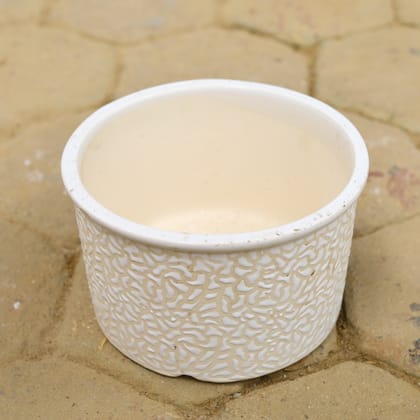 Buy 10 Inch White Designer Bonsai Cylindrical Ceramic Pot Online | Urvann.com