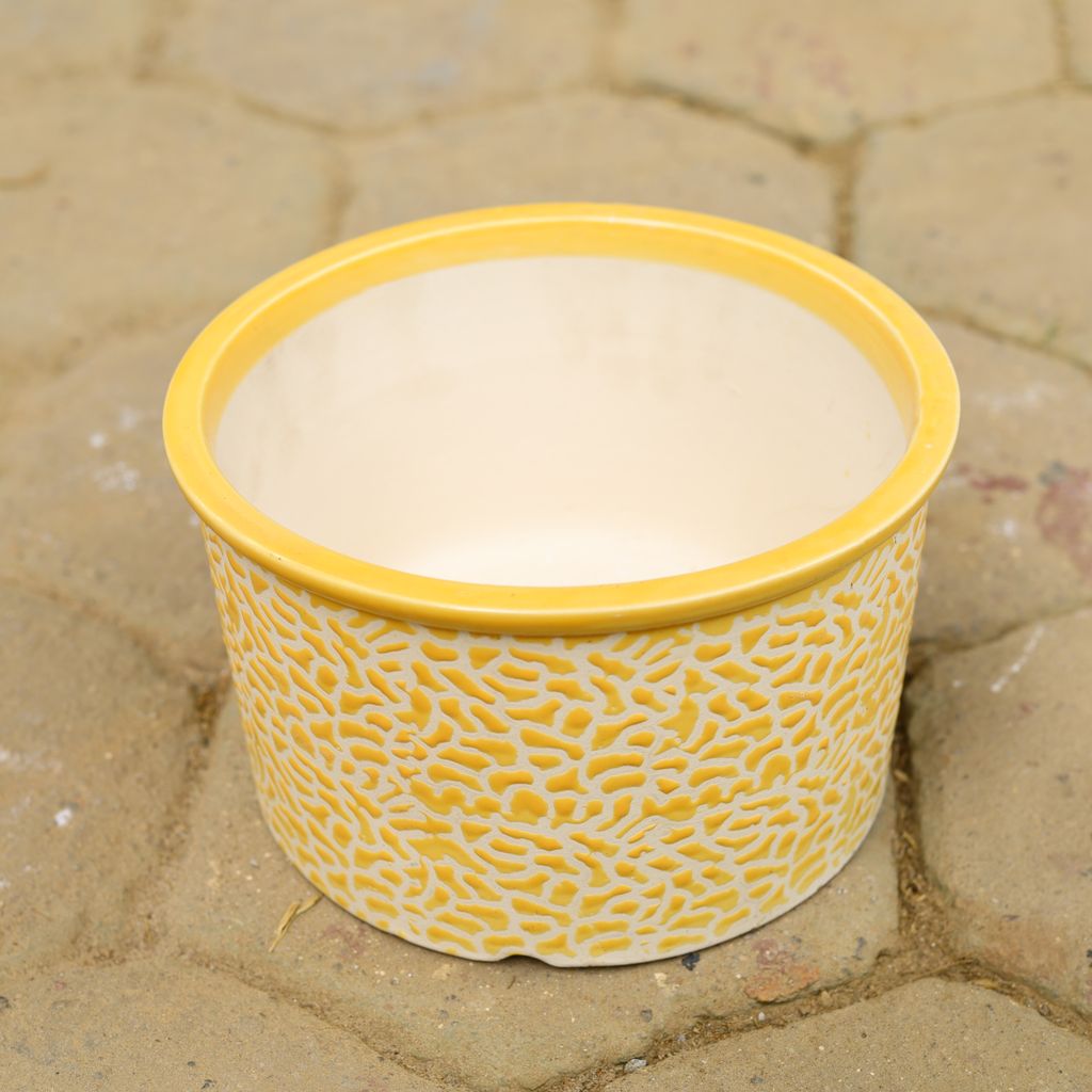 10 Inch Yellow Designer Bonsai Cylindrical Ceramic Pot,Pots:Ceramic Planters:Royal Ceramic Pots