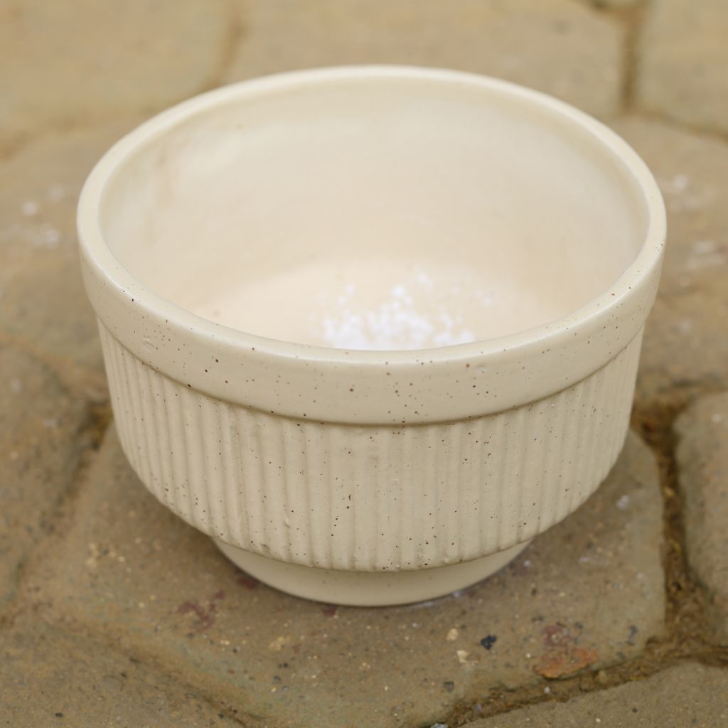 10 Inch Beige Bowl Shape Designer Ceramic Pot