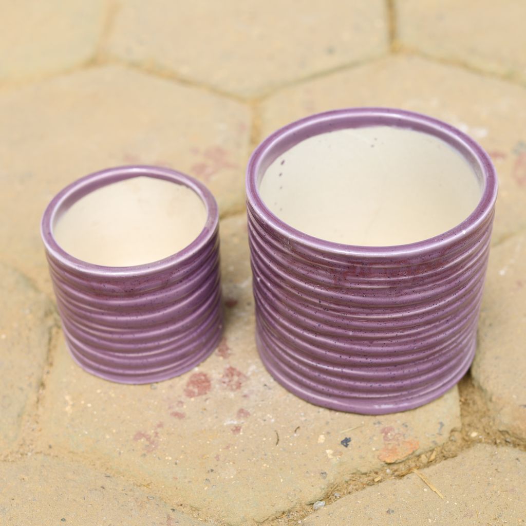 Set of 2 - (6 & 8 Inch) Purple Ring Designer Cylindrical Ceramic Pot,Pots:Ceramic Planters:Royal Ceramic Pots