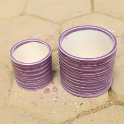 Buy Set of 2 - (6 & 8 Inch) Purple Ring Designer Cylindrical Ceramic Pot Online | Urvann.com