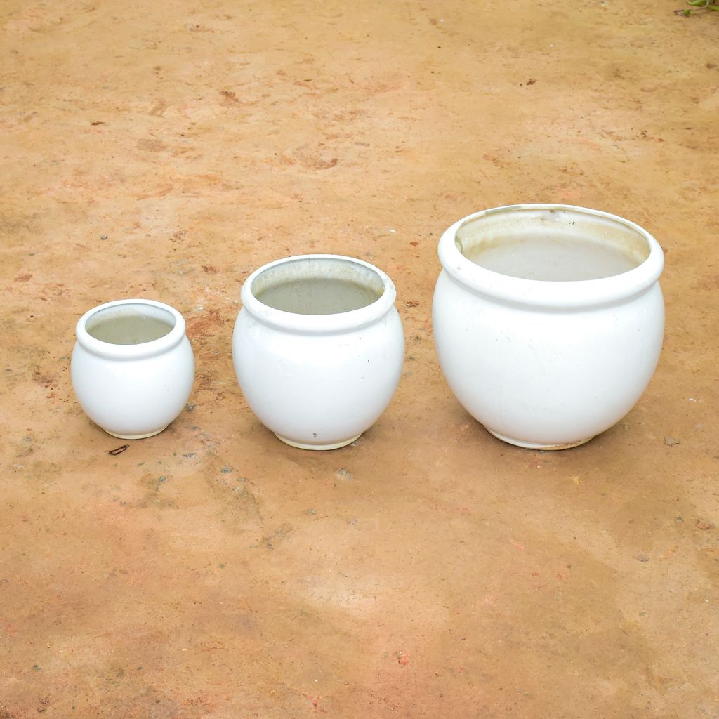 Set of 3 - (6, 9 & 12 Inch) White Matki Ceramic Pot (any colour),Pots:Ceramic Planters:Royal Ceramic Pots