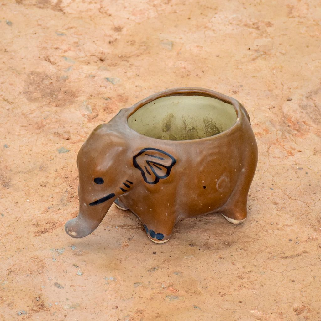 6 Inch Brown Elephant Shape Ceramic Pot (any colour)