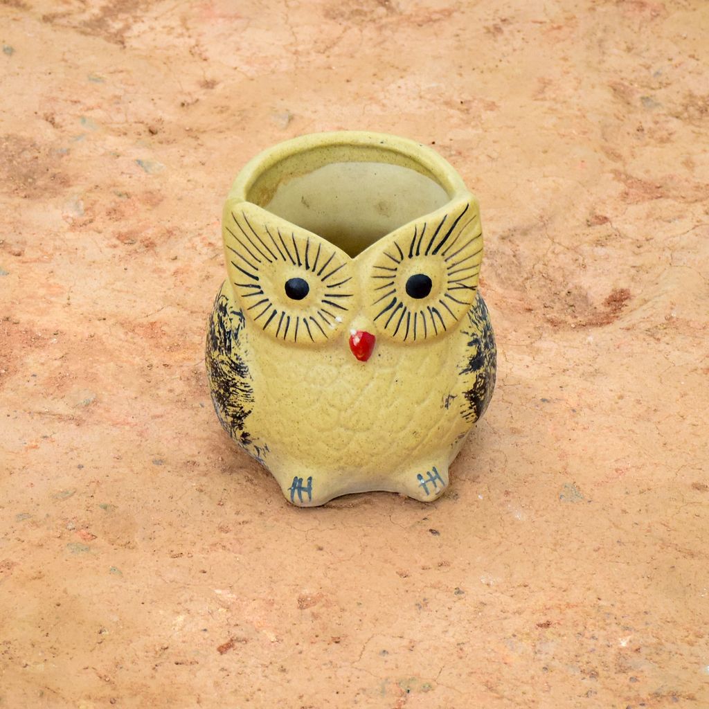 7 Inch Beige Owl shape Designer Ceramic Pot (any colour) (any design)