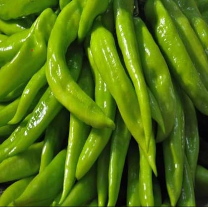 Buy Achari Chilli Desi Seeds - Excellent Germination Online | Urvann.com