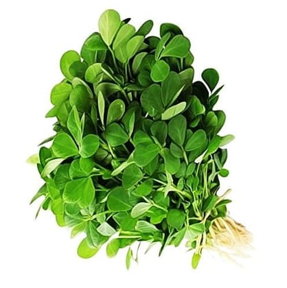 Buy Kasturi Methi Seeds - Excellent Germination Online | Urvann.com