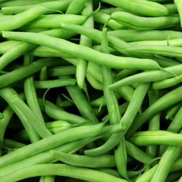 French Beans Seeds - Excellent Germination