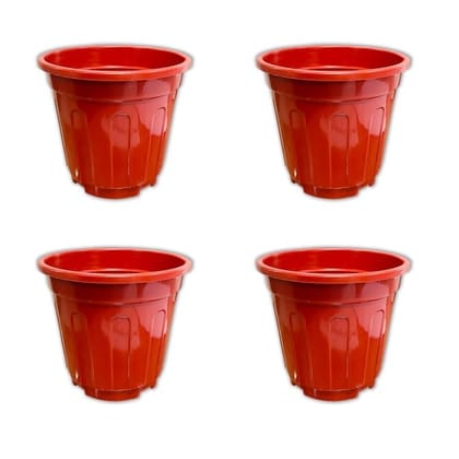 Buy Set of 04 - 6 Inch Red Super Nursery Pot Online | Urvann.com