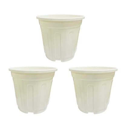 Buy Set of 03 - 6 Inch White Super Nursery Pot Online | Urvann.com