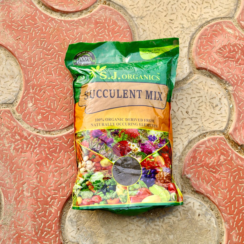 Succulent Mix - 900 Gm