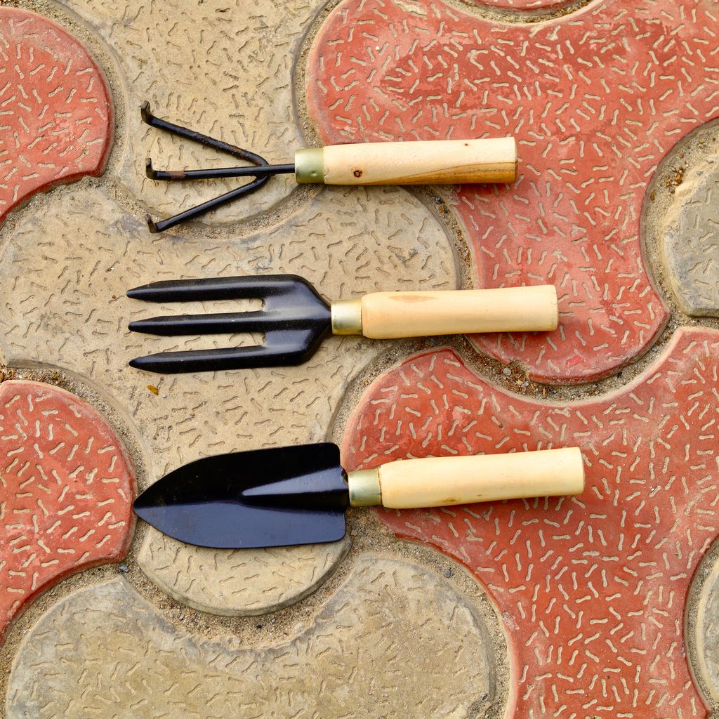 Set Of 3 - Gardening Fork / Trishul, Hand Cultivator & Hand Trovel