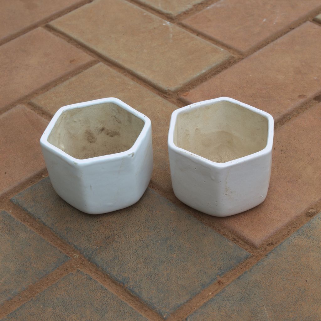 Set Of 2 - 4 Inch White Hexagonal Designer Ceramic Pot