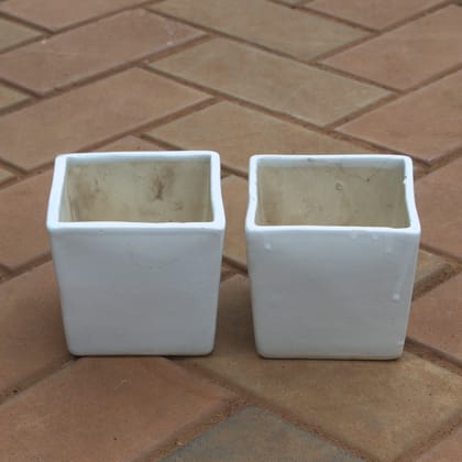 Buy Set Of 2 - 5 Inch Square Shape Ceramic Pot Online | Urvann.com