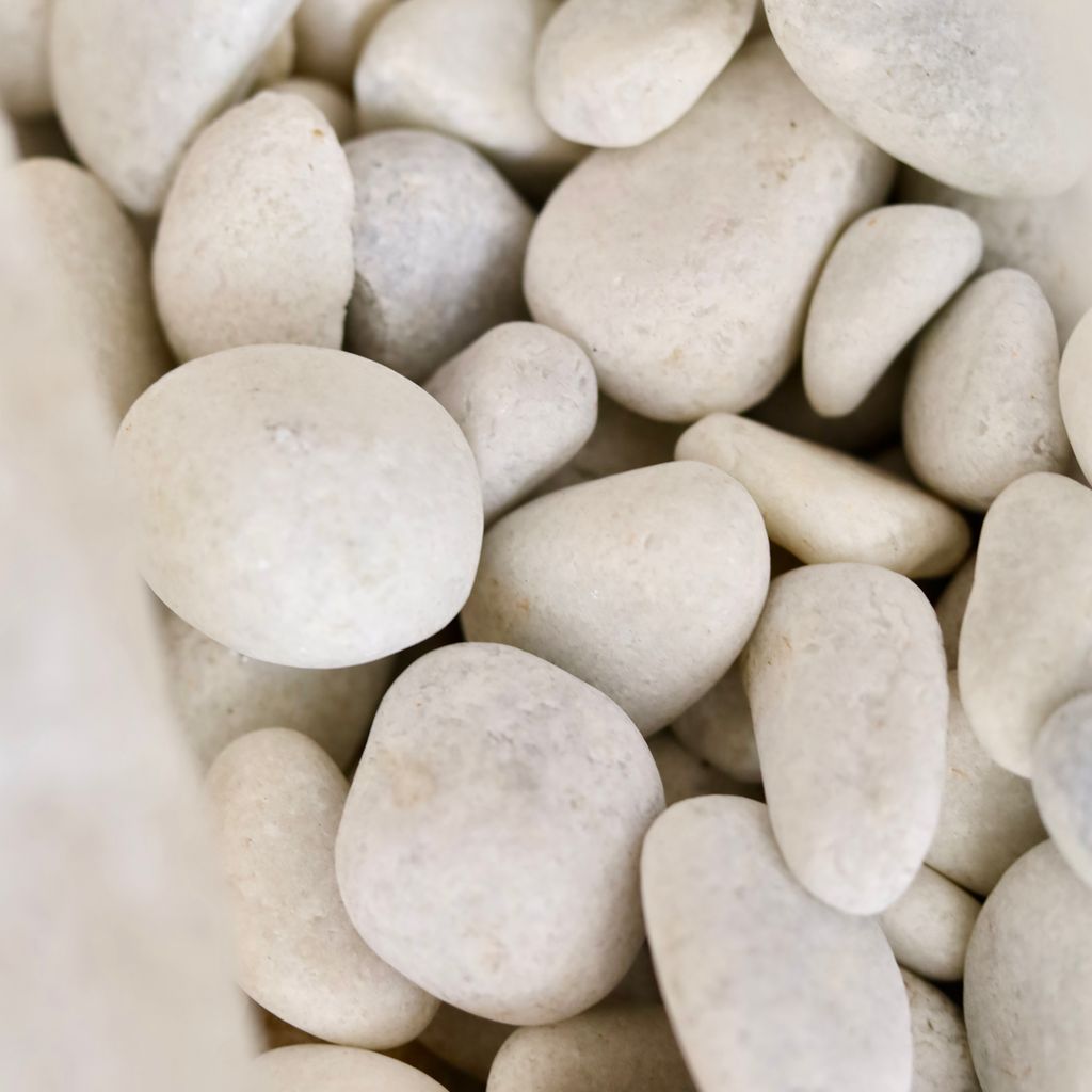 Decorative Medium Polished White Pebbles - 1 Kg