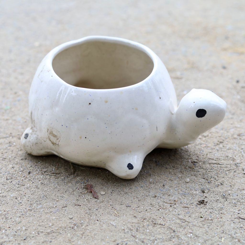 6 Inch White Tortoise Shape Ceramic Pot