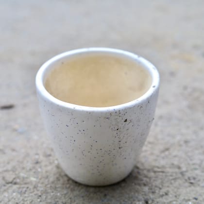 Buy 4 Inch White Cup Shape Ceramic Pot Online | Urvann.com