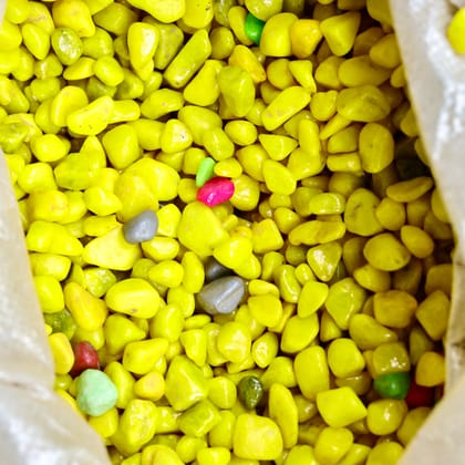 Buy Decorative Medium Yellow Pebbles - 1 Kg Online | Urvann.com