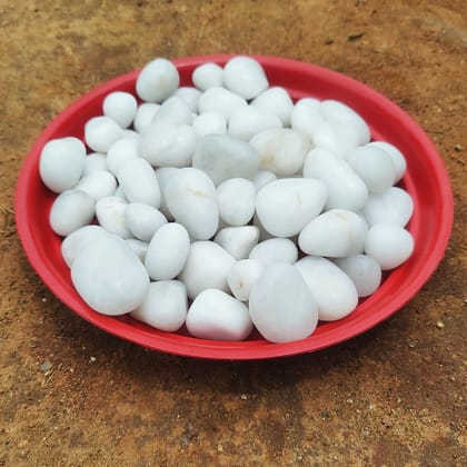 Decorative White Pebbles - 500 Gm