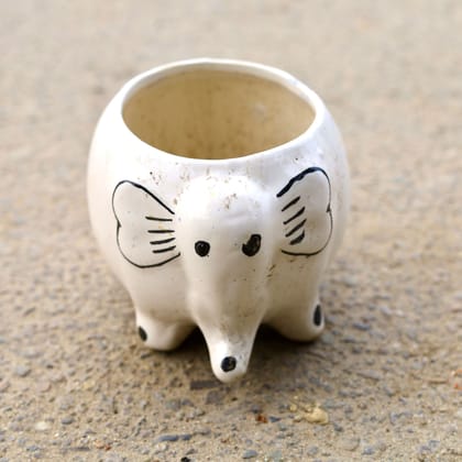 Buy 8 Inch White Cute Elephant Designer Ceramic Pot (Any Colour) Online | Urvann.com