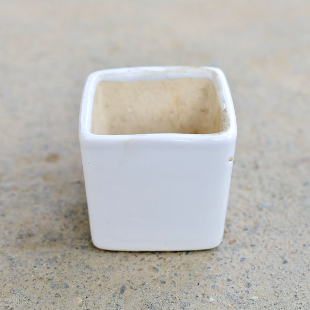 4 Inch Classy White Square Ceramic Pot