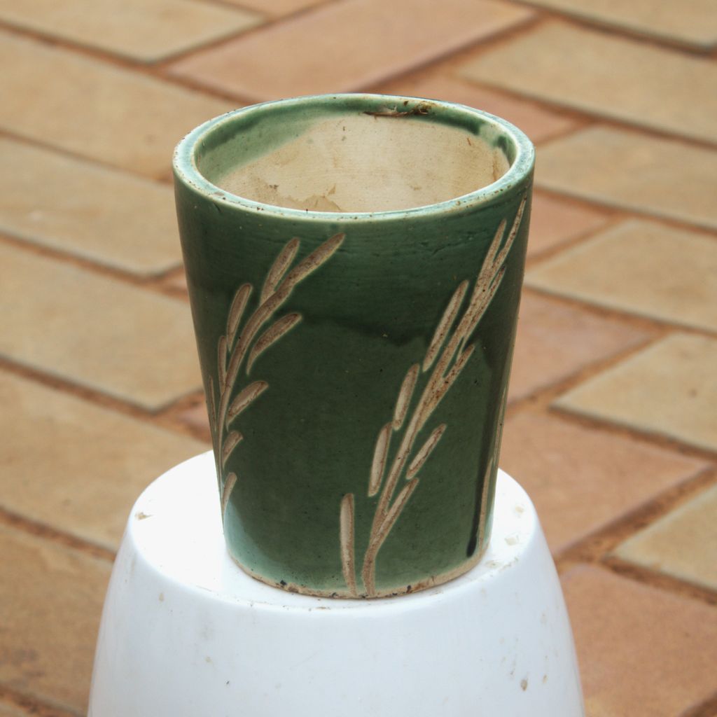 5 Inch Classy Green Designer Cup Shaped Ceramic Pot,Pots:Ceramic Planters:Royal Ceramic Pots