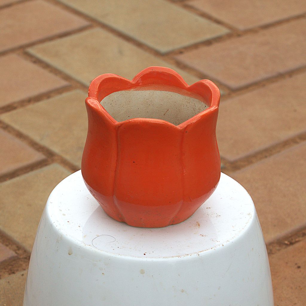 4 Inch Classy Orange Rose Ceramic Pot