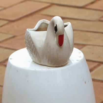 Buy 3 Inch Classy White Swan Designer Ceramic Pot Online | Urvann.com