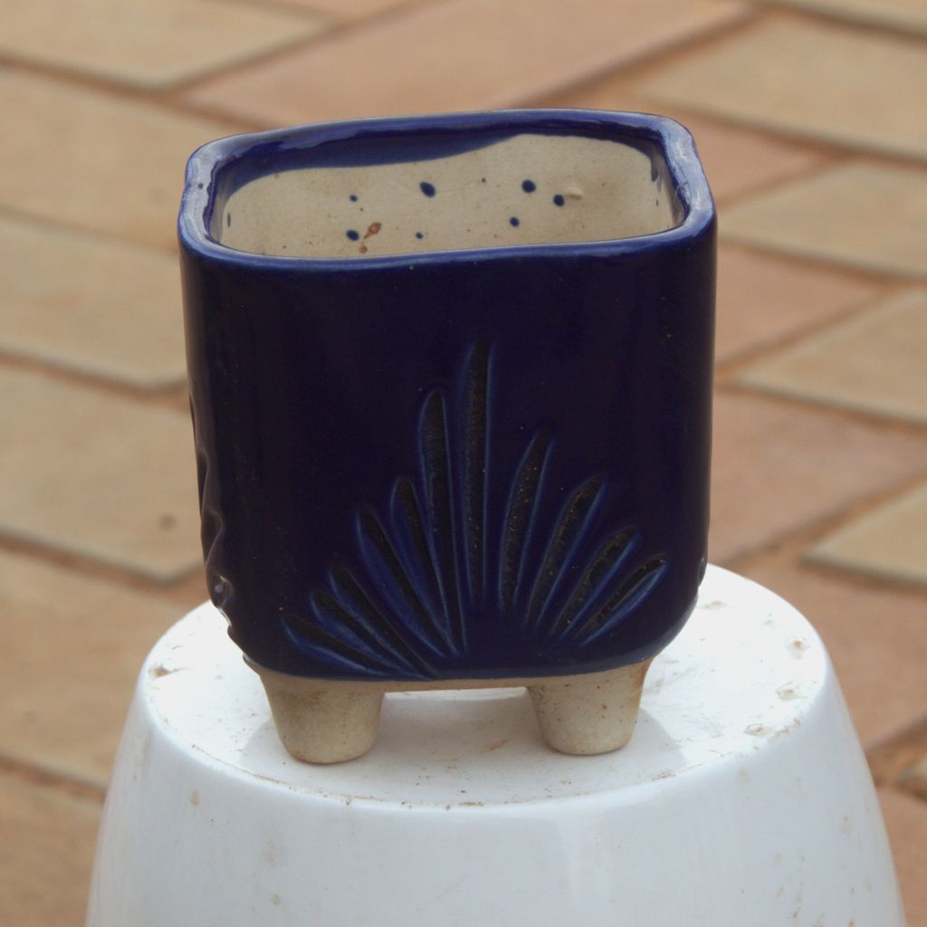 4 Inch Blue Leaf Designer Square Ceramic Pot