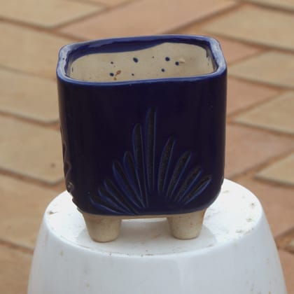 Buy 4 Inch Blue Leaf Designer Square Ceramic Pot Online | Urvann.com