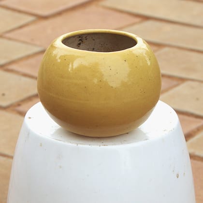 Buy 4 Inch Classy Beige Apple Ceramic Pot Online | Urvann.com