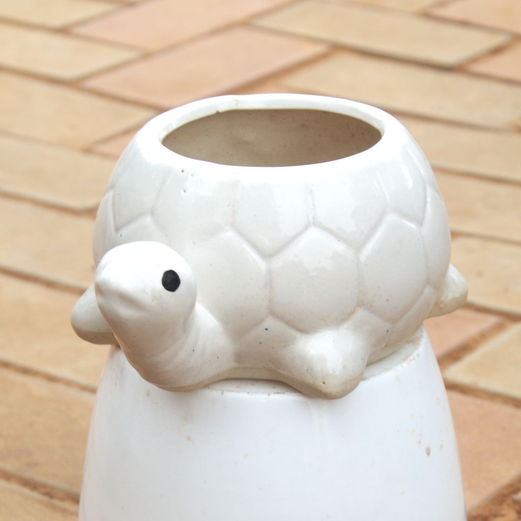 5 Inch Classsy White Turtle Designer Ceramic Pot