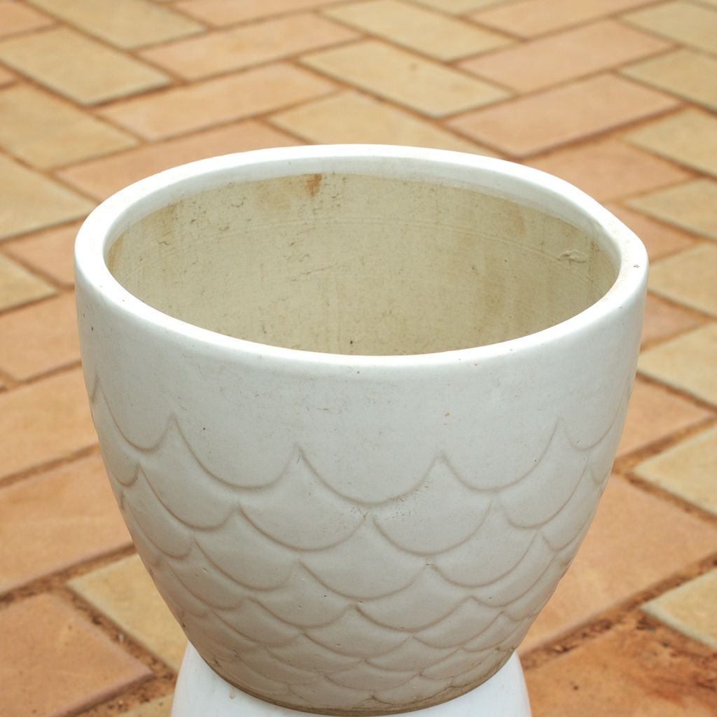 12 Inch Classy White Scales Designer Cup Shaped Ceramic Pot