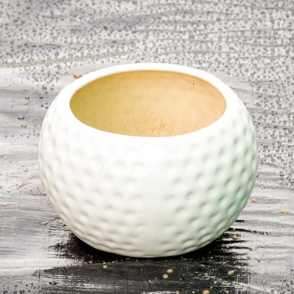 Buy 5 Inch Classy White Bowl Designer Ceramic Pot Online | Urvann.com