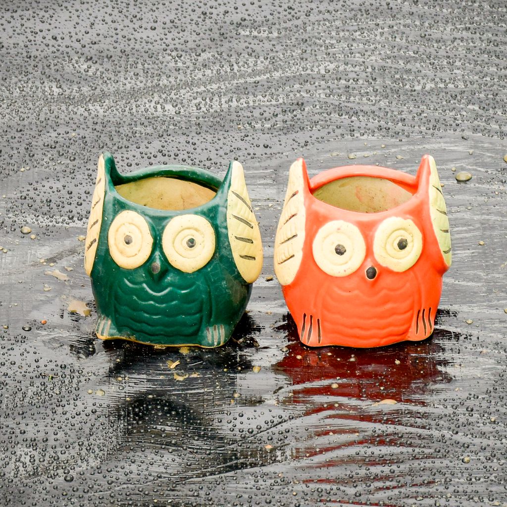 Set of 2 - Cute Owl Designer Ceramic Pot (any colour)