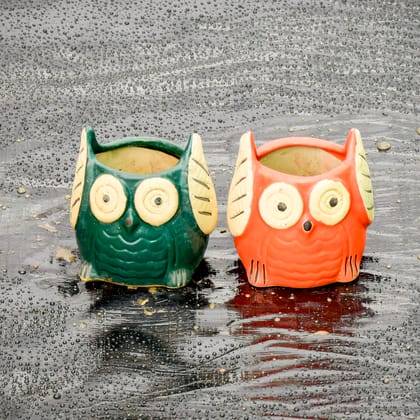 Buy Set of 2 - Cute Owl Designer Ceramic Pot (any colour) Online | Urvann.com