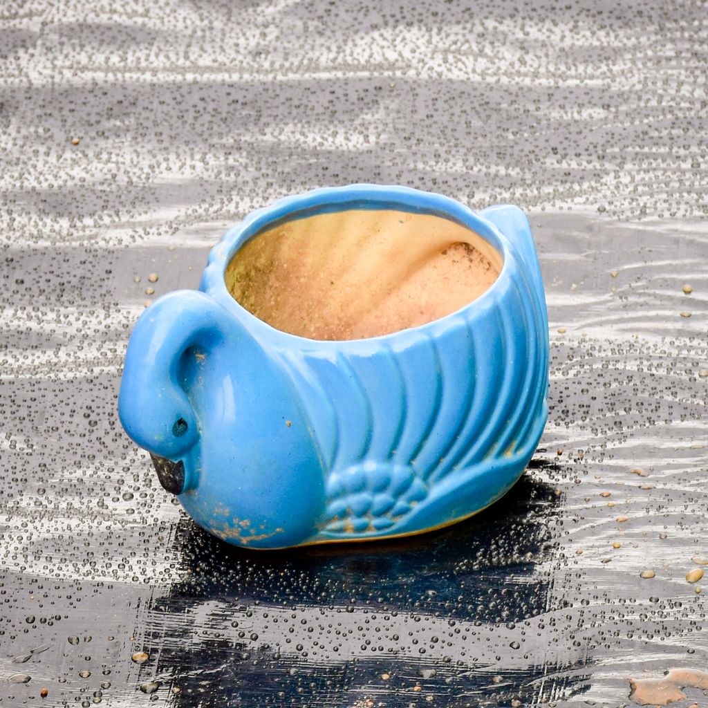 6 Inch Swan Designer Ceramic Pot (any colour)