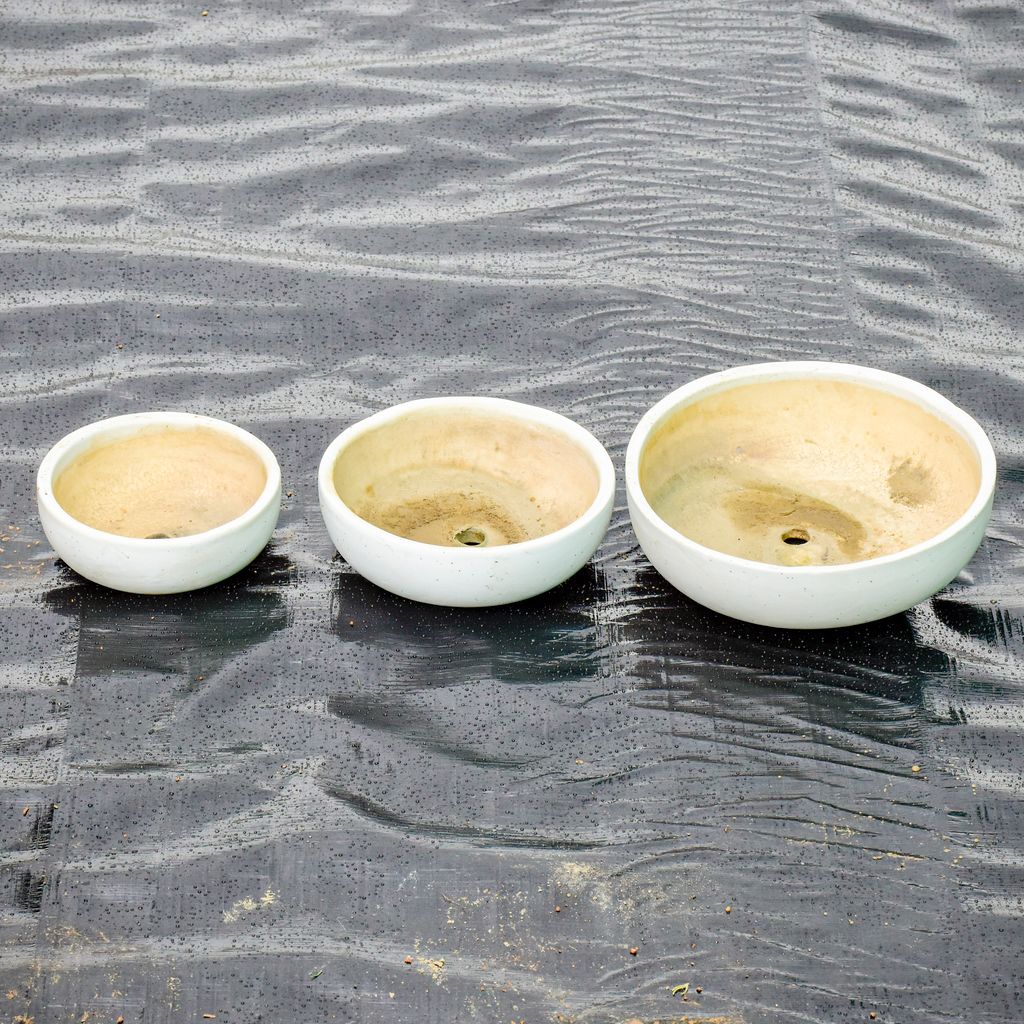 Set of 3 - 4,6 & 10 Inch White Classy Round Ceramic Bonsai Tray,Pots:Ceramic Planters:Royal Ceramic Pots