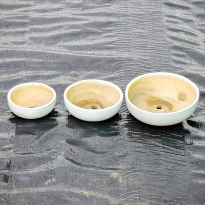 Buy Set of 3 - 4,6 & 10 Inch White Classy Round Ceramic Bonsai Tray Online | Urvann.com