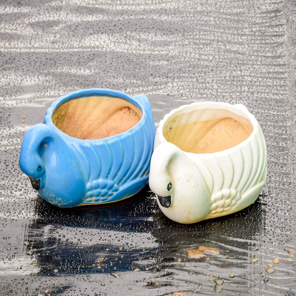 Set of 2 - 6 Inch Swan Designer Ceramic Pot (any colour)