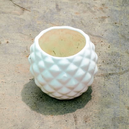 Buy 4 Inch Classy White Diamond Designer Ceramic Pot (Any Design) Online | Urvann.com