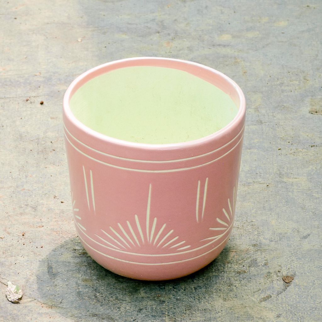 4 Inch Designer Cylindrical Ceramic Pot (Any Colour)