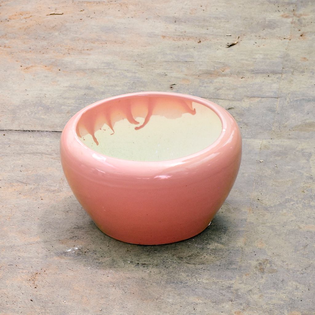 6 Inch Classy Bowl Ceramic Pot (Any Colour),Pots:Ceramic Planters:Royal Ceramic Pots