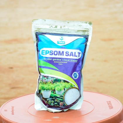 Buy Epsom Salt Online | Urvann.com