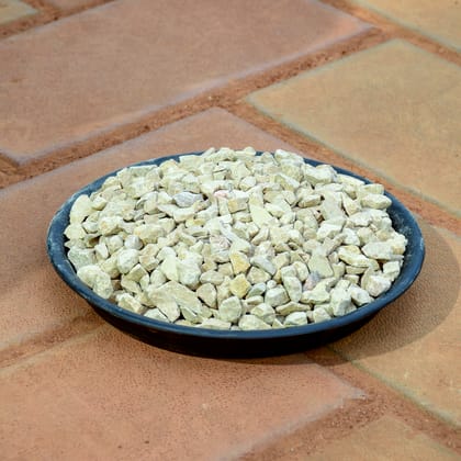 Buy Decorative Yellow Pebbles -  1 Kg Online | Urvann.com