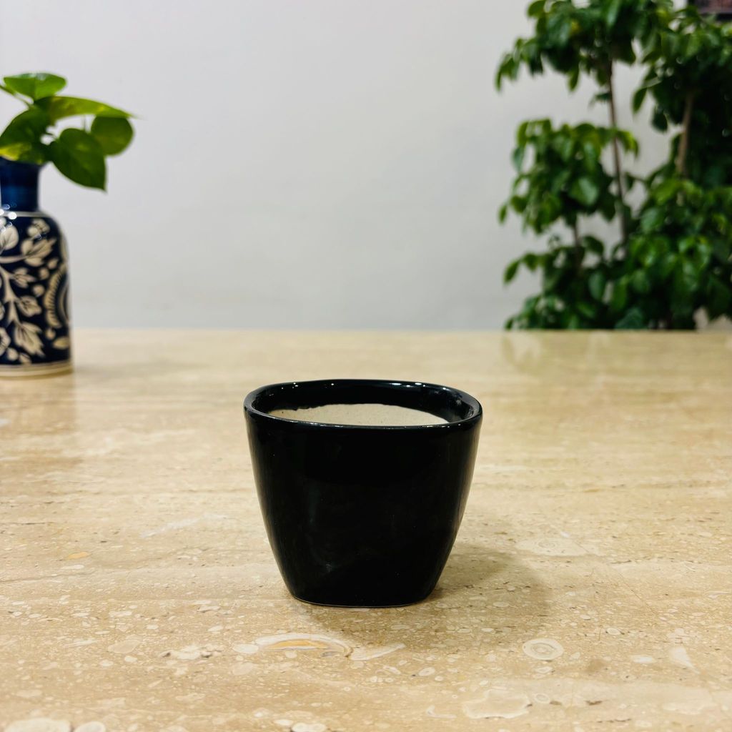 3 Inch Black Mini Handmade Taper Ceramic Pot - Minimalist Glossy Succulent Pot, Indoor Flower Pot for Home and Office Decor